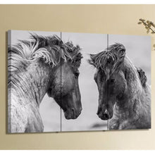 Horse Lovers Canvas